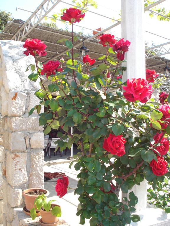 Tri Sestre Guest house