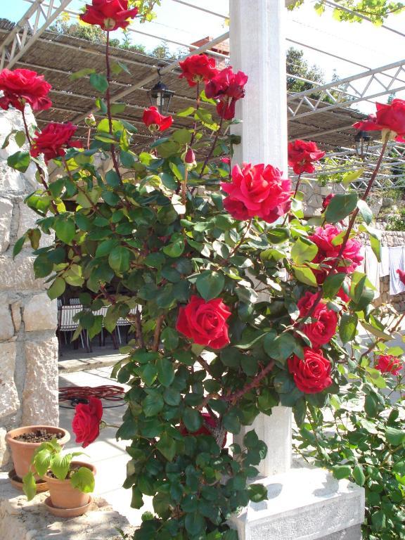 Guest house Tri Sestre Dubrovnik